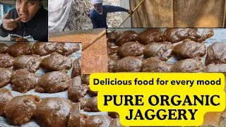 The Easy Way to Make Genuine Organic Jaggery Without Chemicals