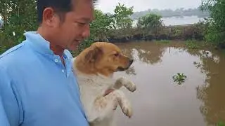 Today I'm going to check my fish traps again. I live in rural Vietnam.