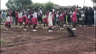 AMAGUGU OMHLABA INGOMA KA SHEMENI