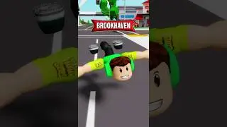 Brookhaven, TUDO o que eu ENCOSTAR mostro na VIDA REAL! 😱🌍
