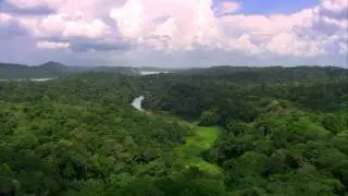 &iquest;Cu&aacute;ntas especies habitan en la cuenca hidrogr&aacute;fica del Canal de Panam&aacute;?