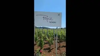 Long walk from Korcula to  Lumbarda, Croatia to try som Grk wine