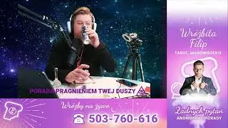 Testree Oj przepraszam