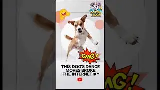 This Dog&rsquo;s Dance Moves Broke the Internet 😂🔥 #funny #animals #shorts