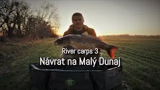 River carps 3 - Návrat na Malý Dunaj | Jarný lov kapra na rieke (marec/2022)