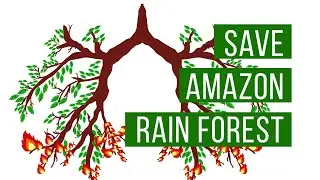 Save Amazon Rain Forest! #prayforamazon l Sk Artz