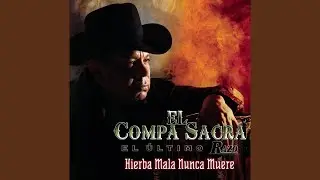 Perico, Vino Y Mujeres