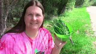 Wild Onion harvesting and what to do with it