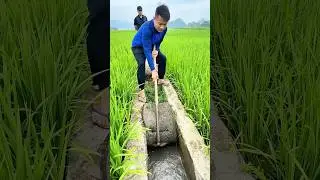 Irrigation Ditch Cleaning Tips: Clear Channels, Efficient Field Watering!