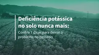 Acabe com a deficiência de potássio no solo com essas 7 dicas