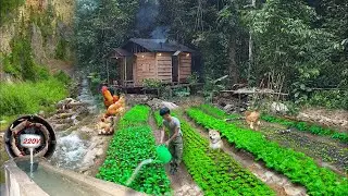Back to house in the woods, fixing the electricity, gardening, harvesting eggplants, Live in nature