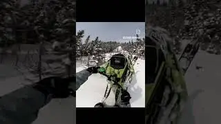 146 is a wheelie machine 🤟😎