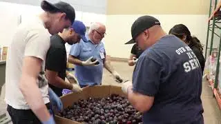 How to volunteer at FIND Food Bank