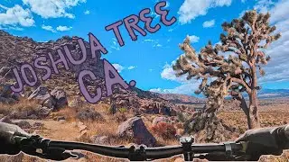 Exploring Singletracks in Joshua Tree Ca