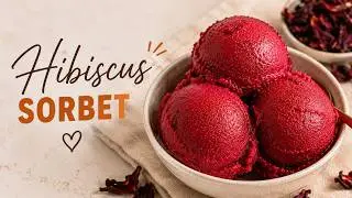 Homemade 4-INGREDIENT Hibiscus Flower Sorbet Recipe