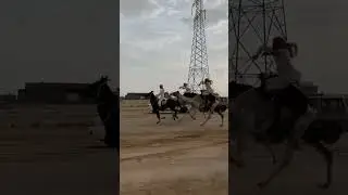 Horse and camel race🐎#camel #horselover #ghoda #horseriding #horseracing