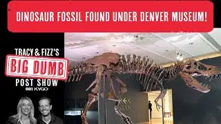 Dinosaur fossil found under Denver Museum!&nbsp;| Tracy and Fizz's Big Dumb Post Show