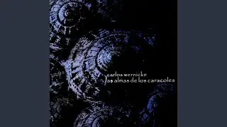 5 Piezas Para Guitarra: Campero