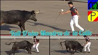 Maestros de la Calle en La Vall D'uixo (castellon) Eulogio Mateo y Pedro Domínguez - 9 Febrero 2025
