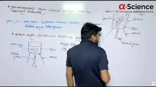 2 වන පාඩම - ප්&zwj;රභාසංශ්ලේෂණය (2nd DAY) - Grade 11 Science - Free Live Class