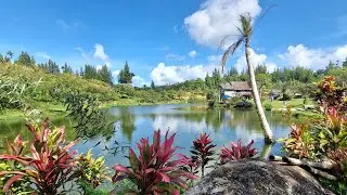 Koh Samui: Suan Sam Anong - Hidden Lake - Giant Summit - Tree Bridge Coffee - Haven Elephant Caf&eacute;