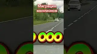 Жизнь мигранта: страх, одиночество и надежда