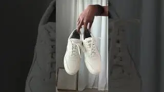 // Everlane Basics Haul