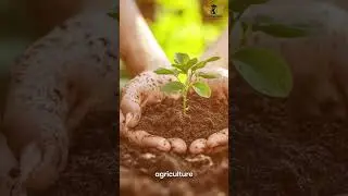 Career series- 3/30 How to Become a NABARD Officer | Salary, Exam, Eligibility Explained!