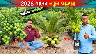 2026 সালের নতুন অফার | সাদিয়া নার্সারি | Best Fruit Nursery | ফলের বাগান | বিদেশি ফলের নার্সারি