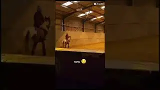 Horse riding - before and after