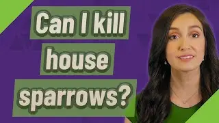 Can I kill house sparrows?