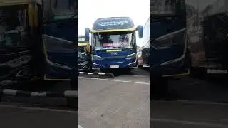 ketika bus draka Basuri Marsha and the bear #busmania