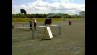 ulster traction engine rally
