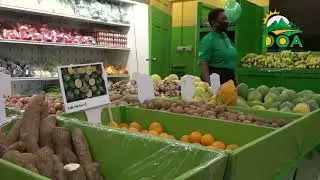 CARICOM LAUNCHES HIGH-TECH FARMING PROJECT TO SLASH REGION'S FOOD IMPORT BILL.