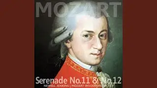 Serenade No. 12 in C Minor for Wind Instruments, K. 388: I. Allegro