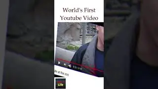 me at the zoo world first youtube video #shorts