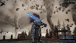 Just Playing Some Elden Ring - Level 300+