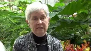 Dana Greene on Poet Denise Levertov