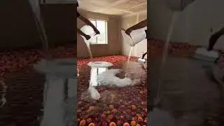 Would you want this floral floor in your living room? 😍🌸#Epoxy #DIY #USA #viralshorts #foryou