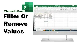 How To Use Filter Remove Values in MICROSOFT EXCEL ? | Filter Ka Use kaise karte Hai.| By hari Sir