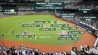 Baseball Terminology positions and roles