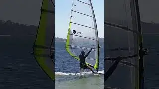 Satisfying the inner ape 🦍 it&rsquo;s in our DNA to swing off trees 🤣 #windsurfing #windsurf