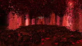 Neverwinter Nights  Enhanced Edition 