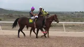 EL PERICO VS LA GATA 300 YDS