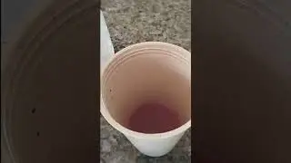 Suco de uva                              #sucodeuva #uva