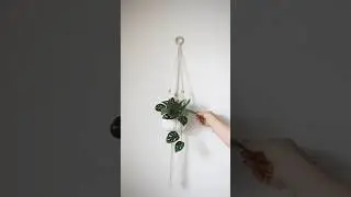 DIY paper plants, learn how to make them 🪴 #diy #papercraft #flowercraft