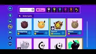 Me rideable pet in PKXD