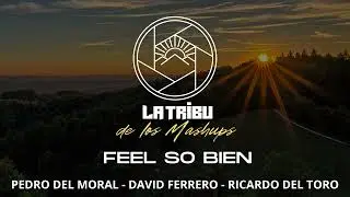 Pedro del Moral, David Ferrero y Ricardo del Toro - Feel so bien (La Tribu de los Mashups mix)