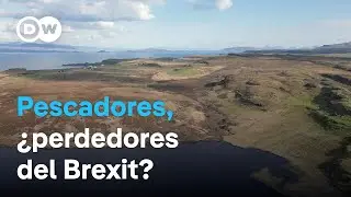 Pescadores escoceses: &iquest;los perdedores del Brexit?