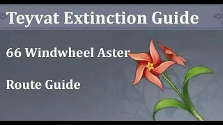 Windwheel Aster collection guide | Teyvat Species Extinction Guide Series